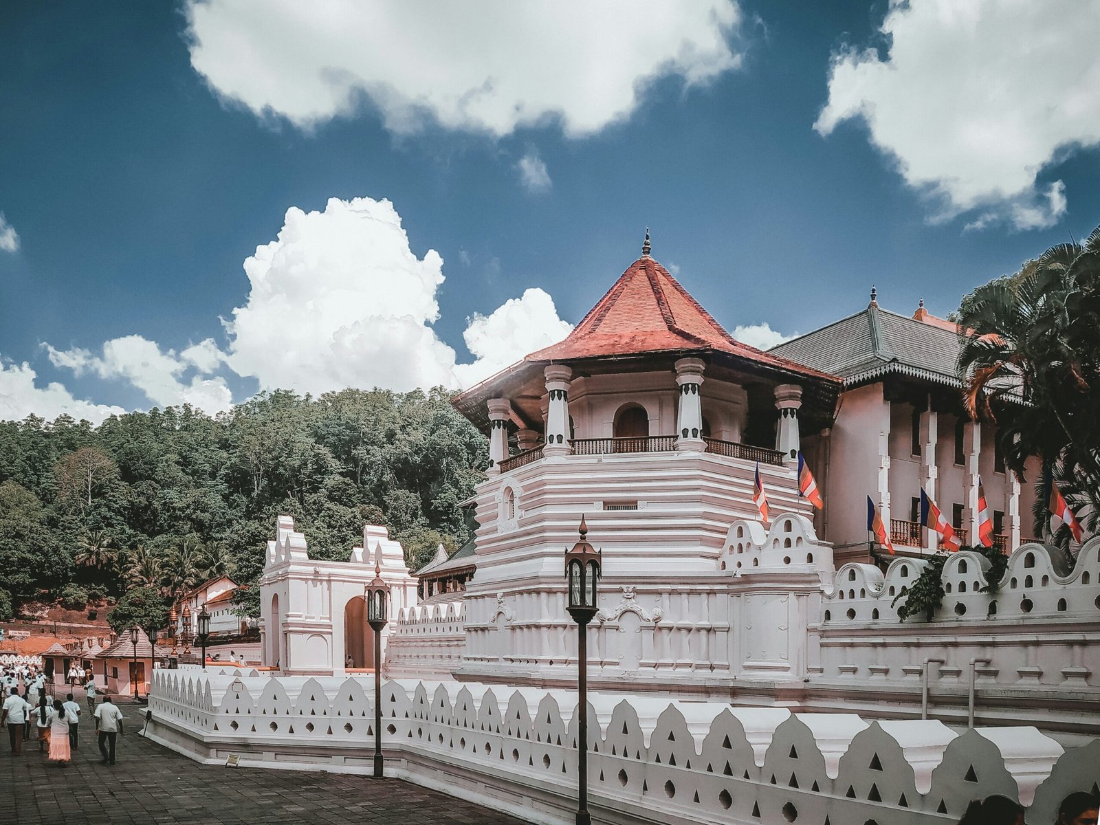 7-Day Sri Lanka Hill Country Tour | Ella, Nuwara Eliya & Tea Country