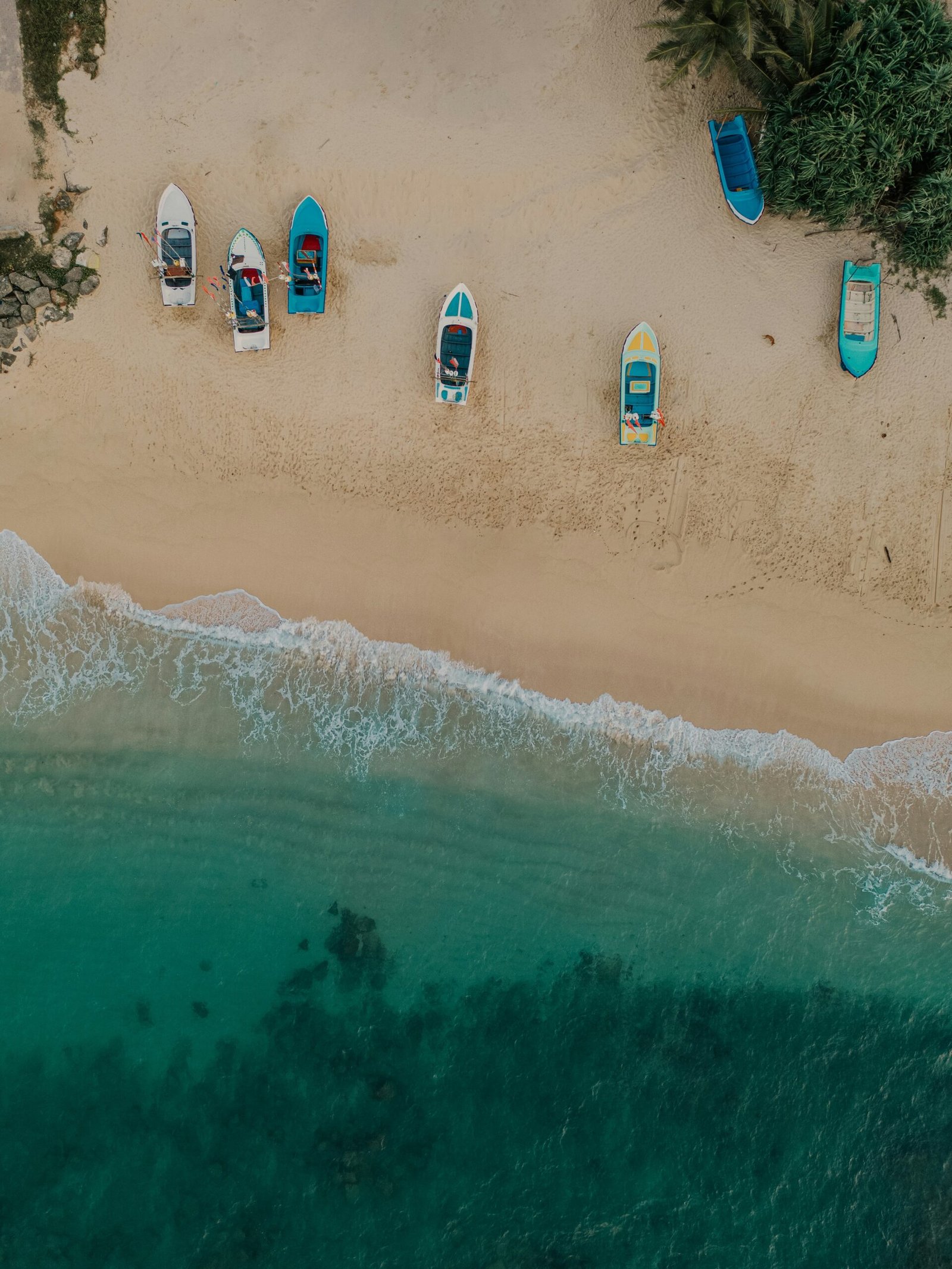 7-Day Sri Lanka Coastal Journey | Galle Fort, Whale Watching & Trincomalee